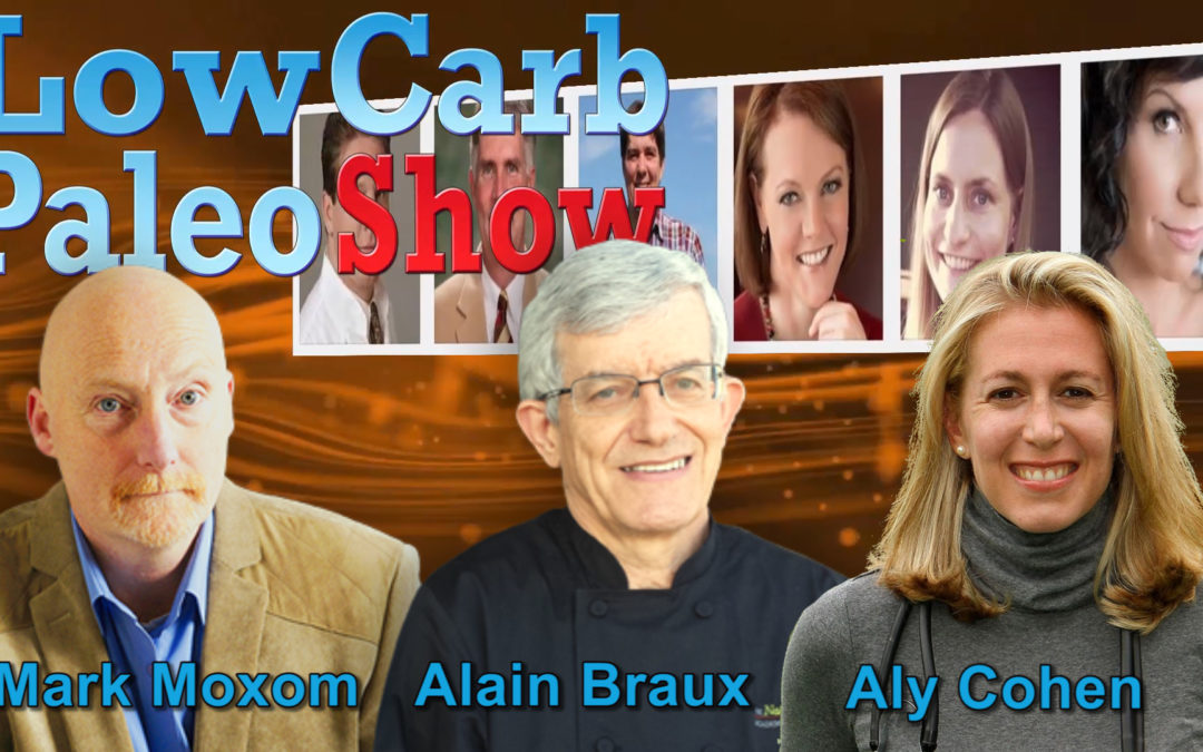 Low Carb Paleo Show 122 Aly Cohen – The Smart Human Interview
